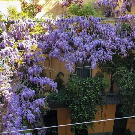Apartment La Casa Degli Angeli